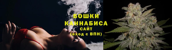 шишки Армянск