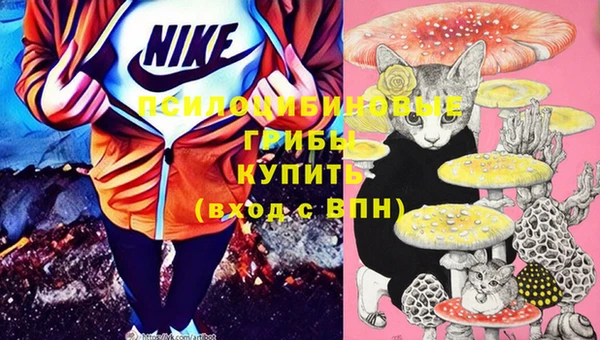 шишки Армянск