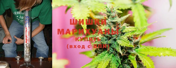 шишки Армянск