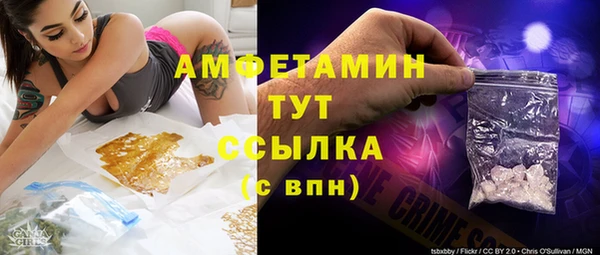 шишки Армянск